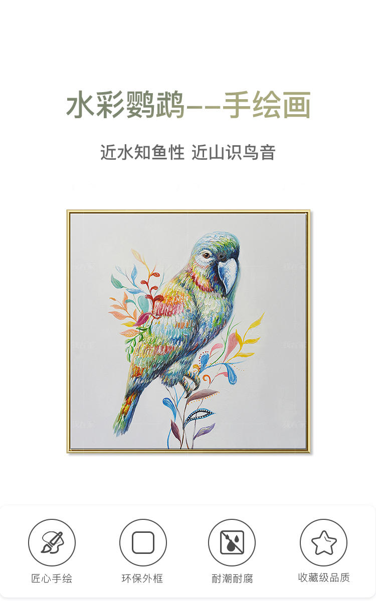 绘美映画系列水彩鹦鹉--手绘画的详细介绍