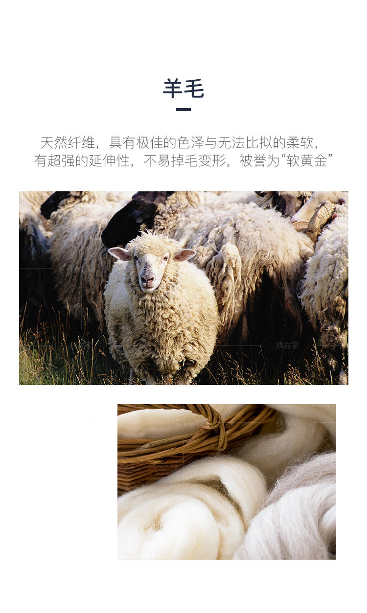 NAGA系列卡美特羊毛地毯的详细介绍