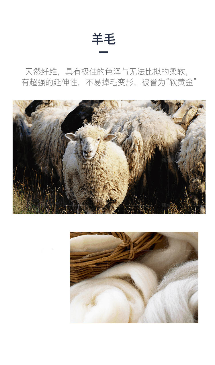 NAGA系列普里羊毛地毯的详细介绍