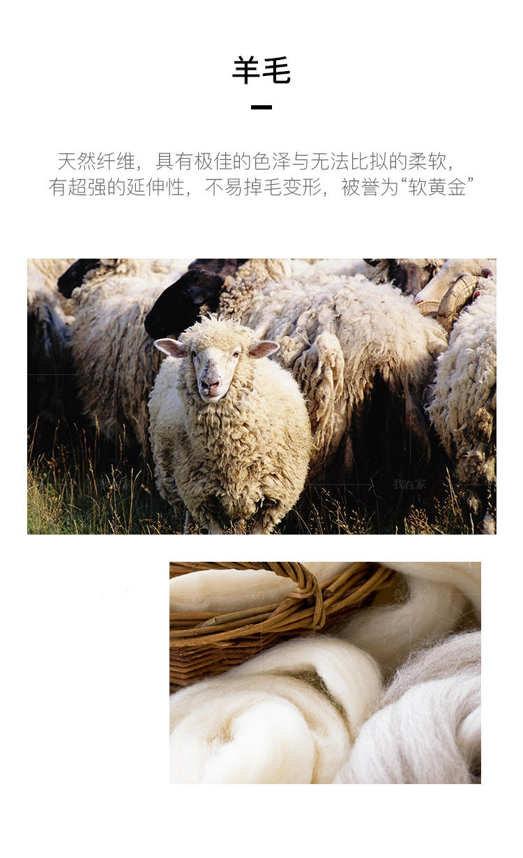 NAGA系列科钦羊毛地毯的详细介绍