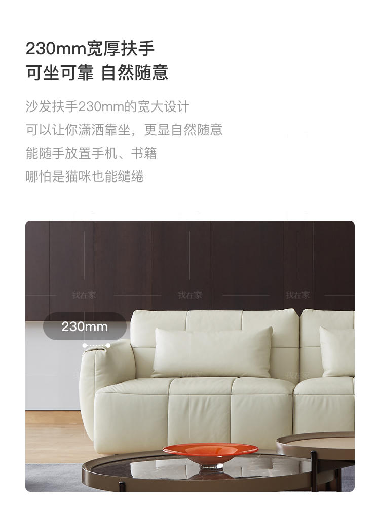 意式极简风格鲸鱼真皮沙发的家具详细介绍