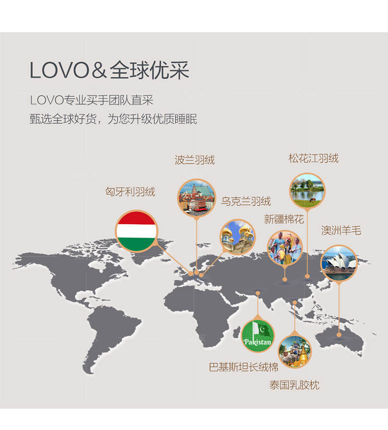 LOVO家纺系列LOVO二合一鹅绒被的详细介绍