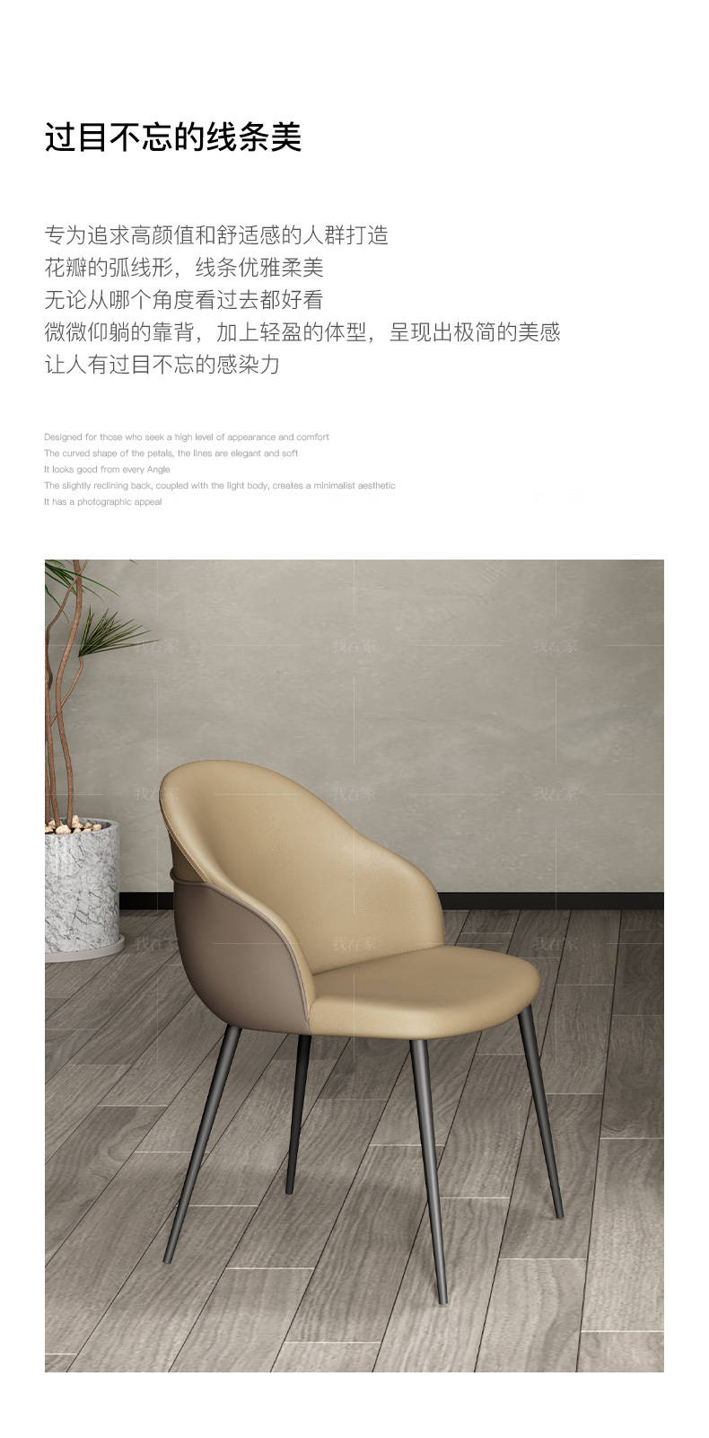 意式极简风格花瓣餐椅的家具详细介绍