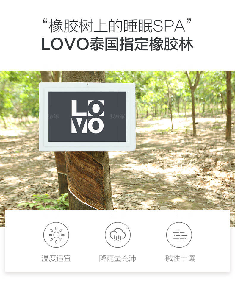 LOVO家纺系列LOVO泰国乳胶床垫的详细介绍